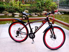 自行車(chē)尺寸解讀 XS、S、M、L 的意義及其在電動(dòng)自行車(chē)制造中的應(yīng)用