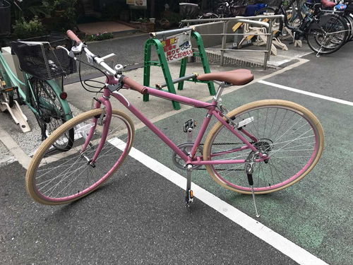 新自行車(chē)的魅力與選擇指南